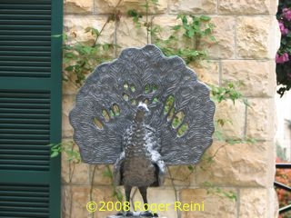 One of many peacock statues in the gardens